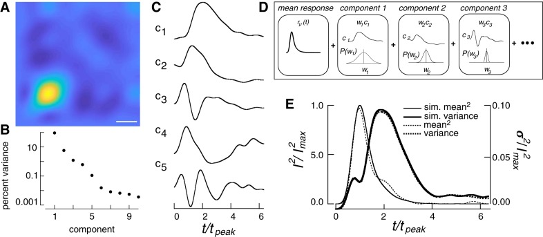 Fig. 4.