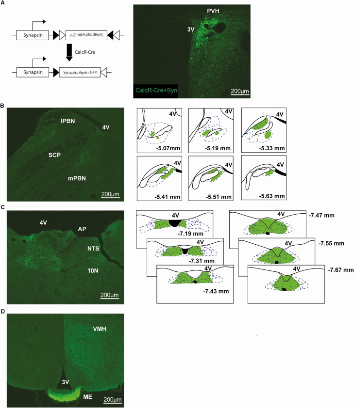 Figure 2.