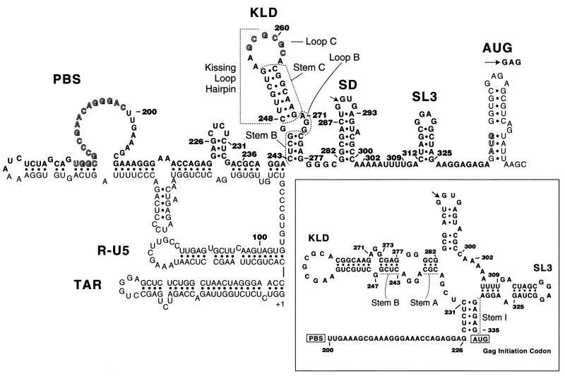 FIG. 1