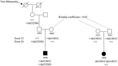 Figure  2