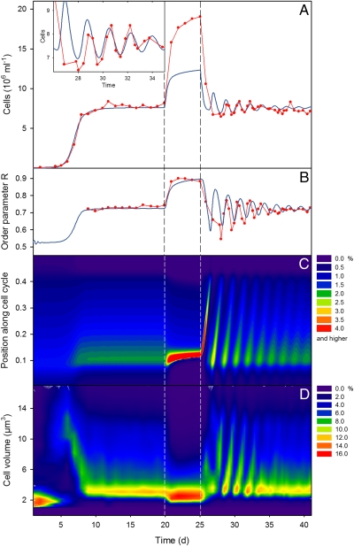 Fig. 3.