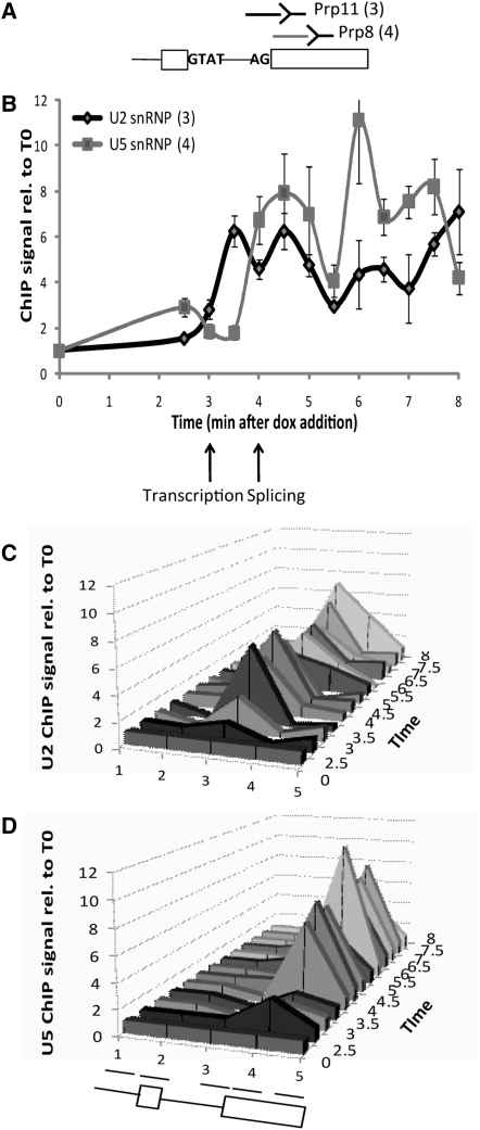 Figure 3