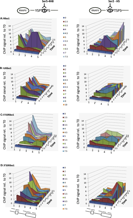 Figure 2