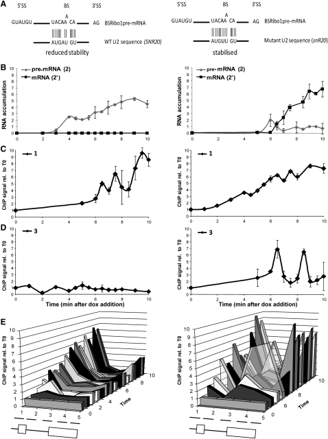 Figure 4