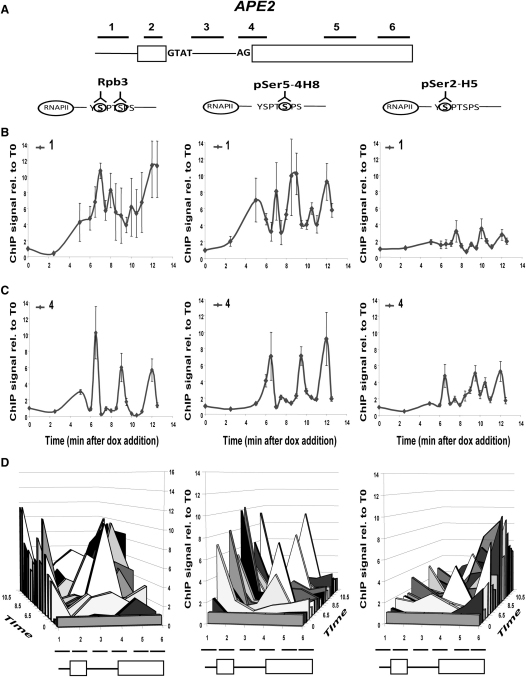 Figure 6