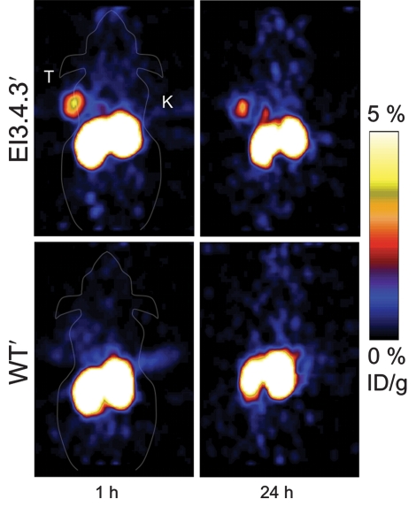 Figure 3a: