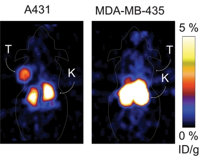 Figure 4a: