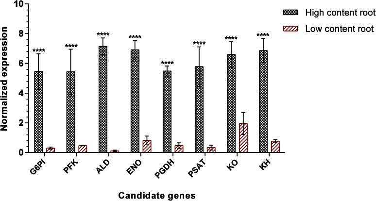 Fig. 4