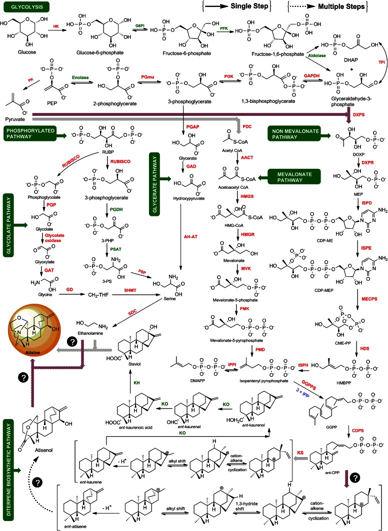 Fig. 1