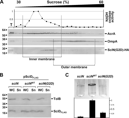 FIG. 5.