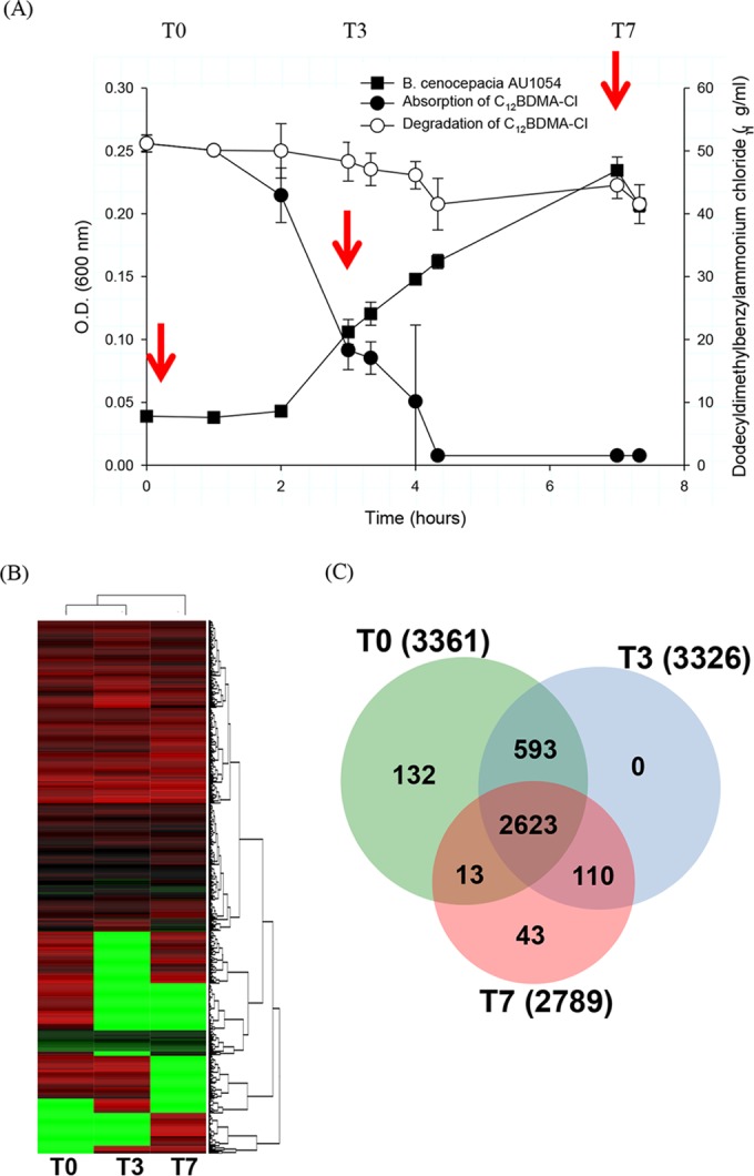 FIG 3 