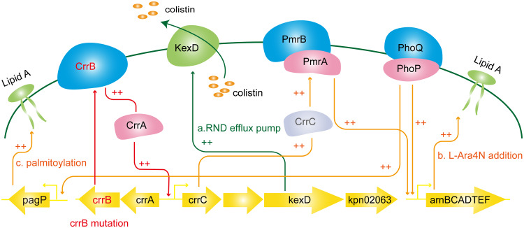 FIG 6