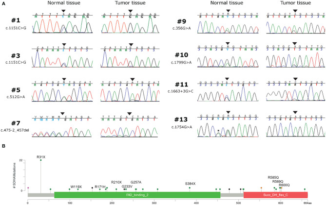 Figure 1