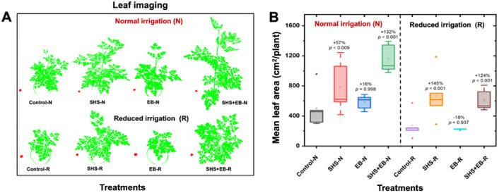 Figure 4