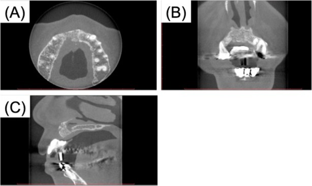 Fig. 5