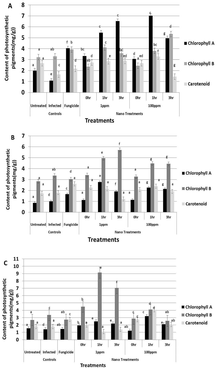 Figure 12