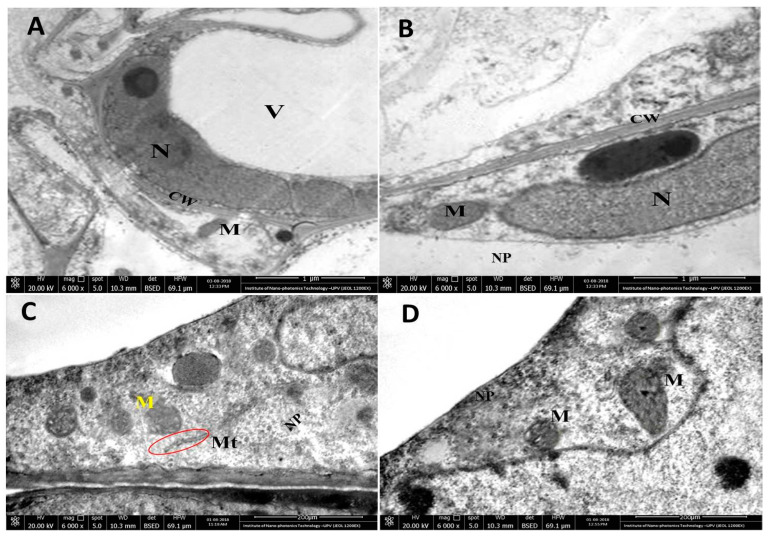 Figure 13