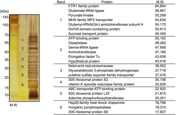 FIG 3