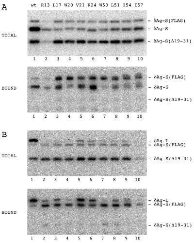 FIG. 6