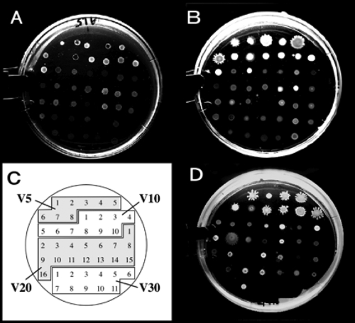 FIG. 2.