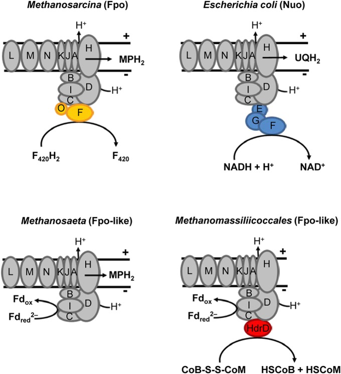 FIG 6