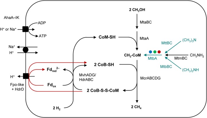 FIG 2