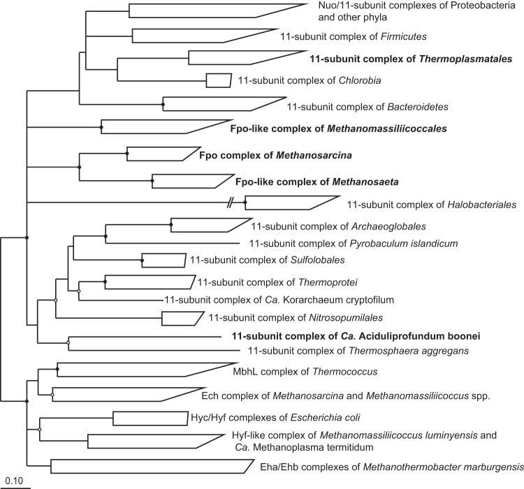 FIG 4