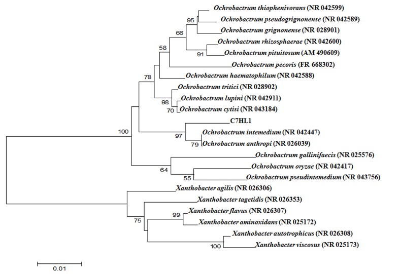 Figure 2: