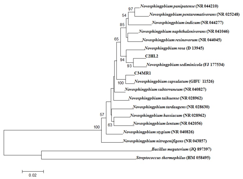 Figure 3: