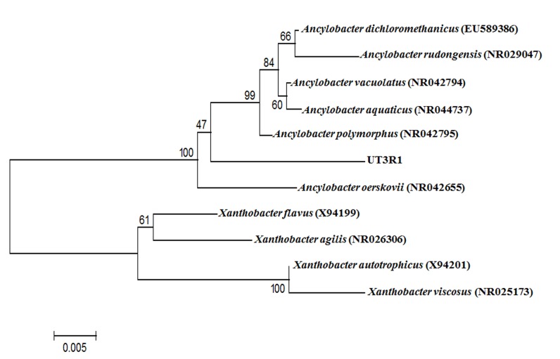 Figure 1: