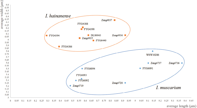 Figure 7.