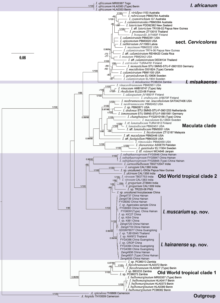 Figure 1.