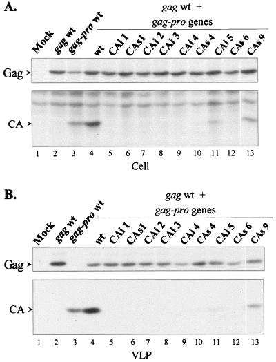 FIG. 6