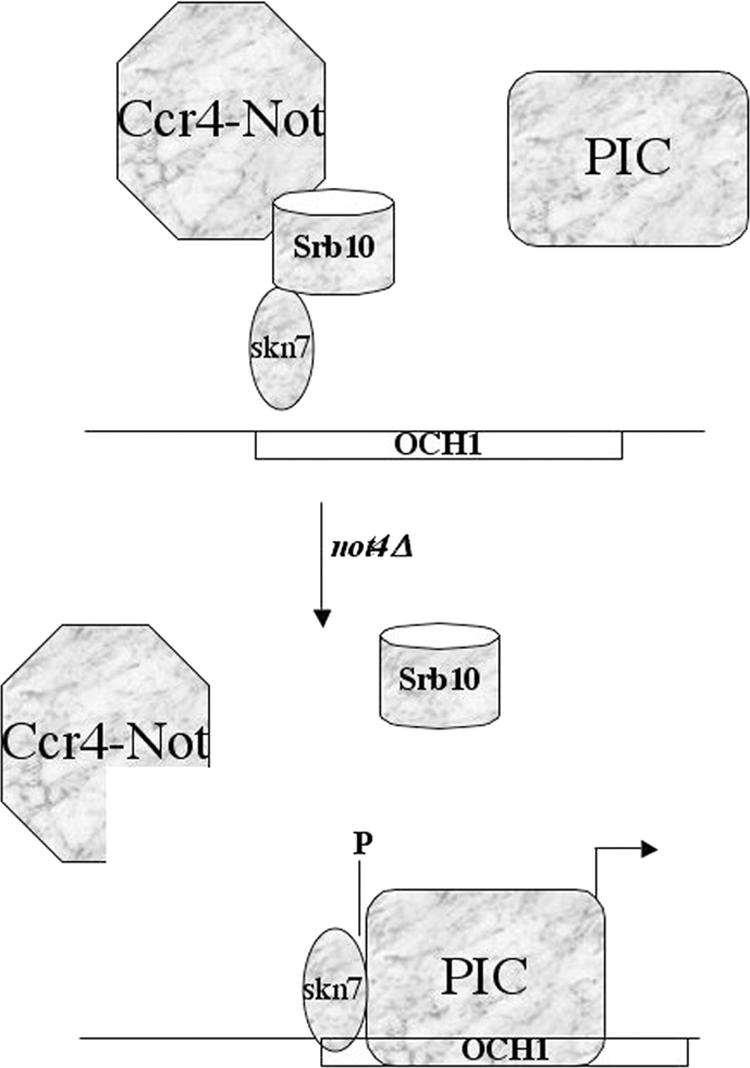 FIG. 6.