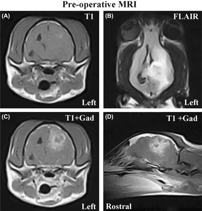 Figure 1: