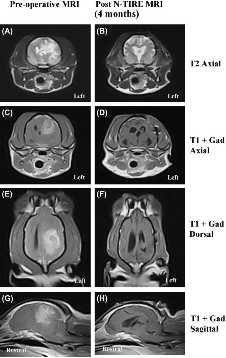 Figure 6: