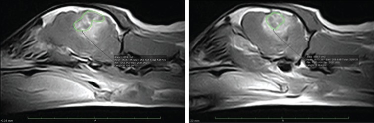 Figure 2: