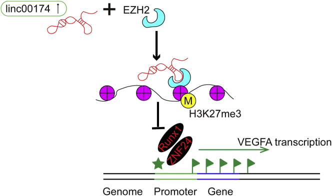 Figure 7