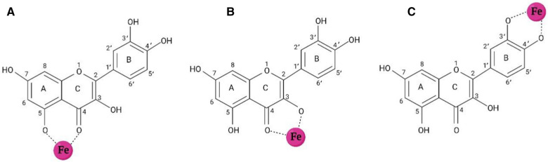 Fig. 6