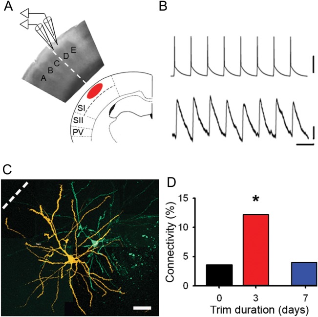 Figure 3.