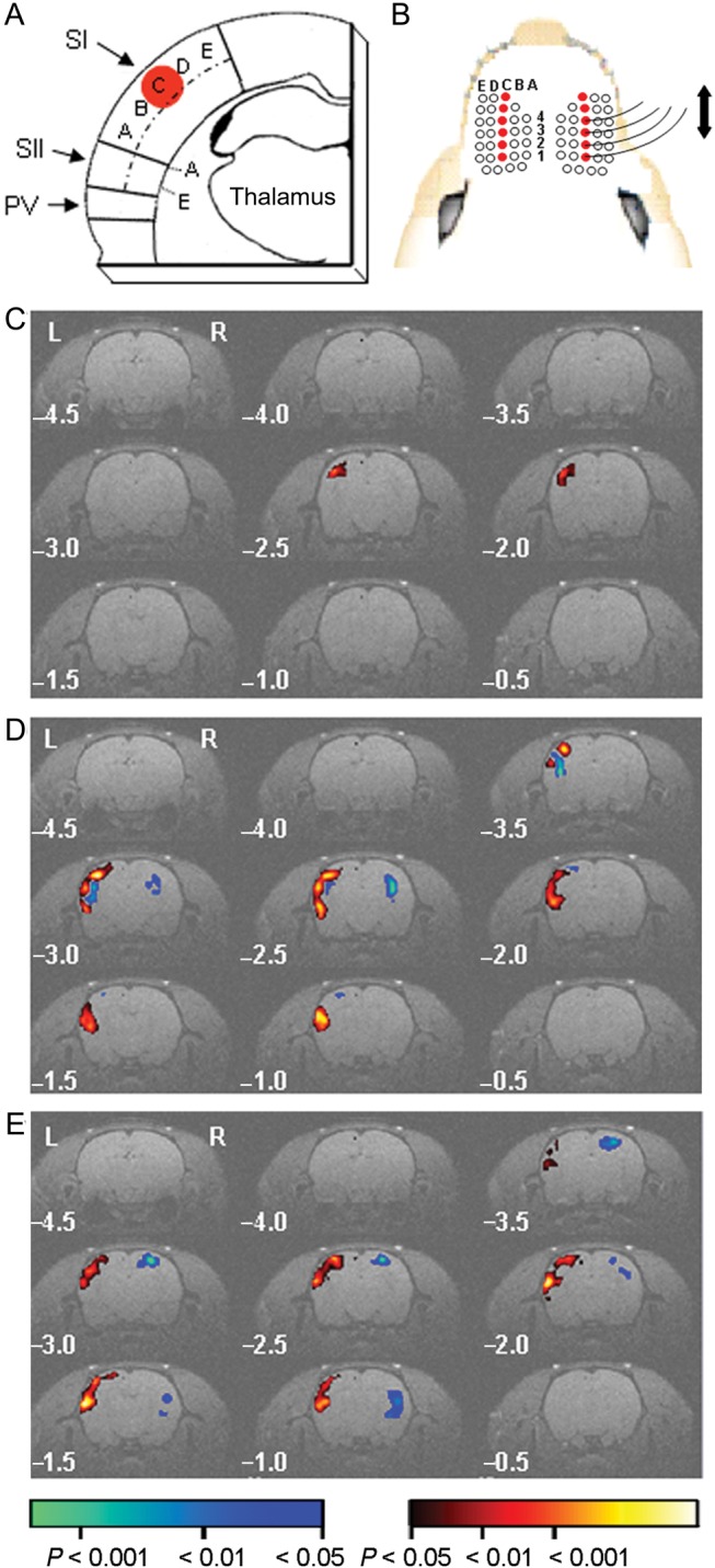 Figure 1.