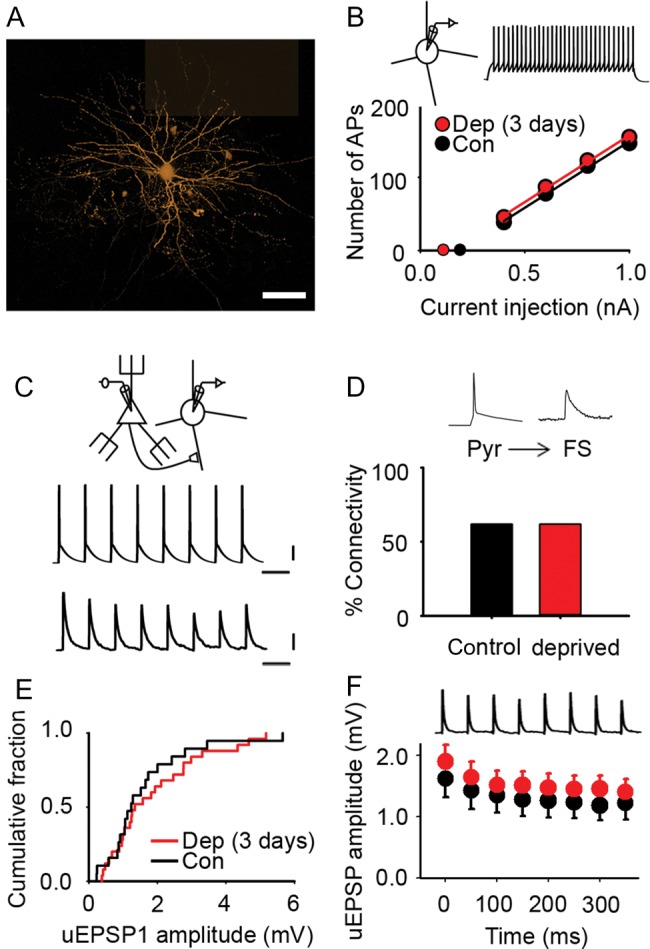 Figure 6.