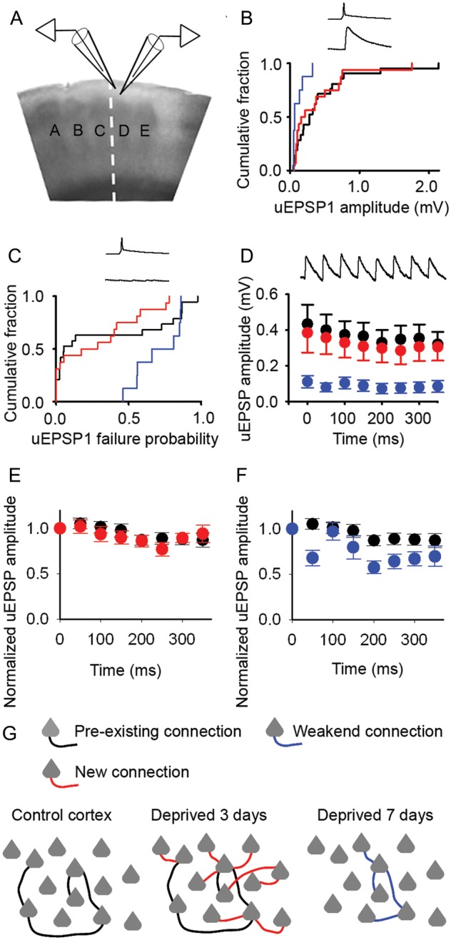 Figure 4.