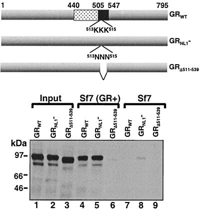 FIG. 6