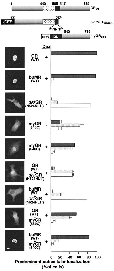 FIG. 10