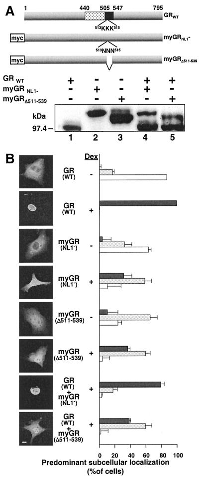 FIG. 7