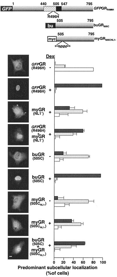 FIG. 8