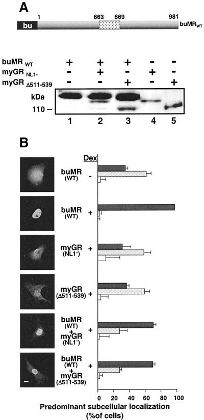 FIG. 9