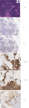 Figure 15: