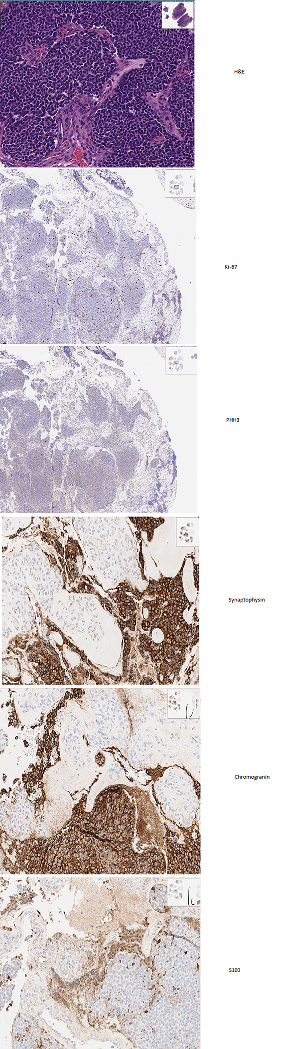 Figure 15: